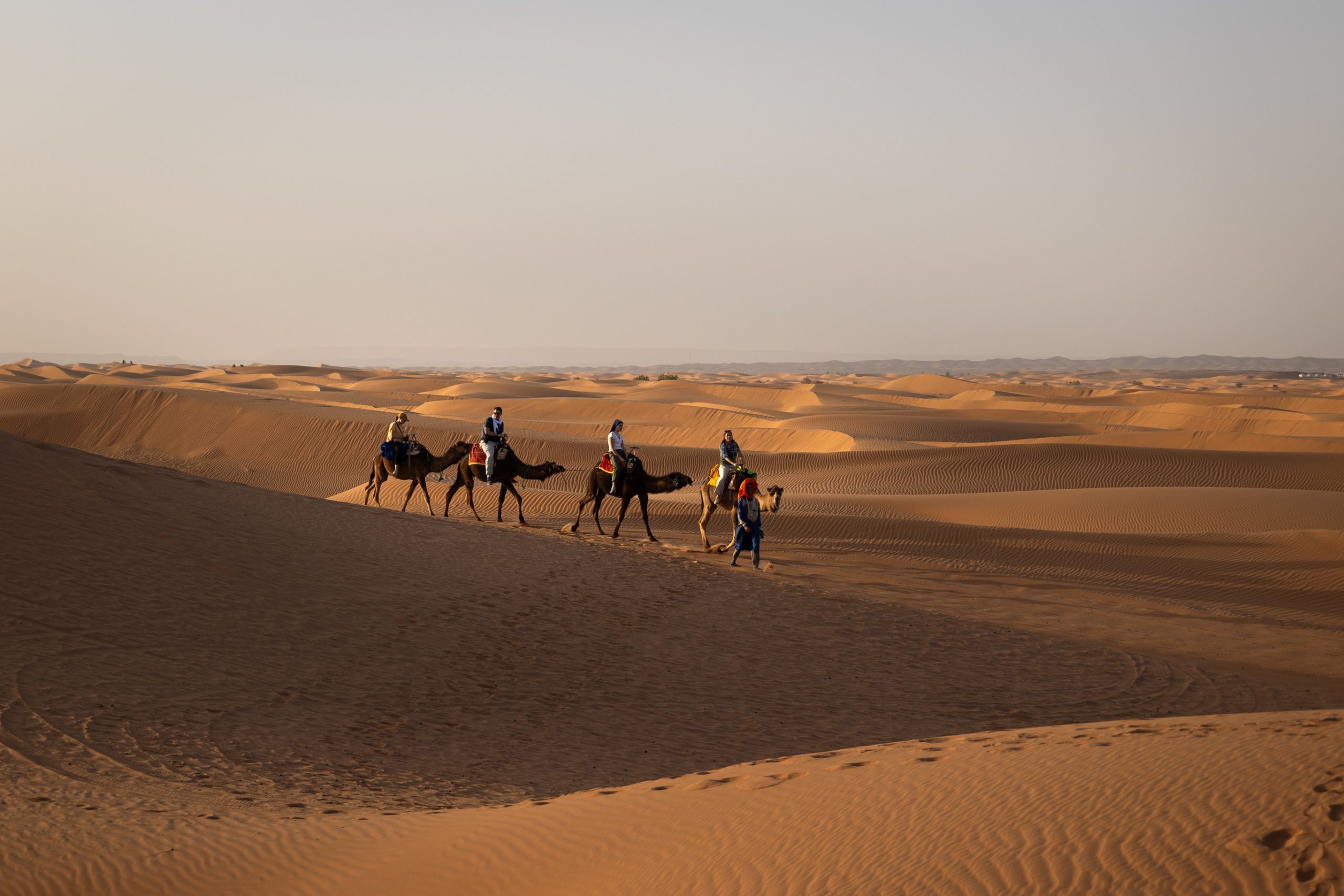 Kamele mit Reitern in der Sahara