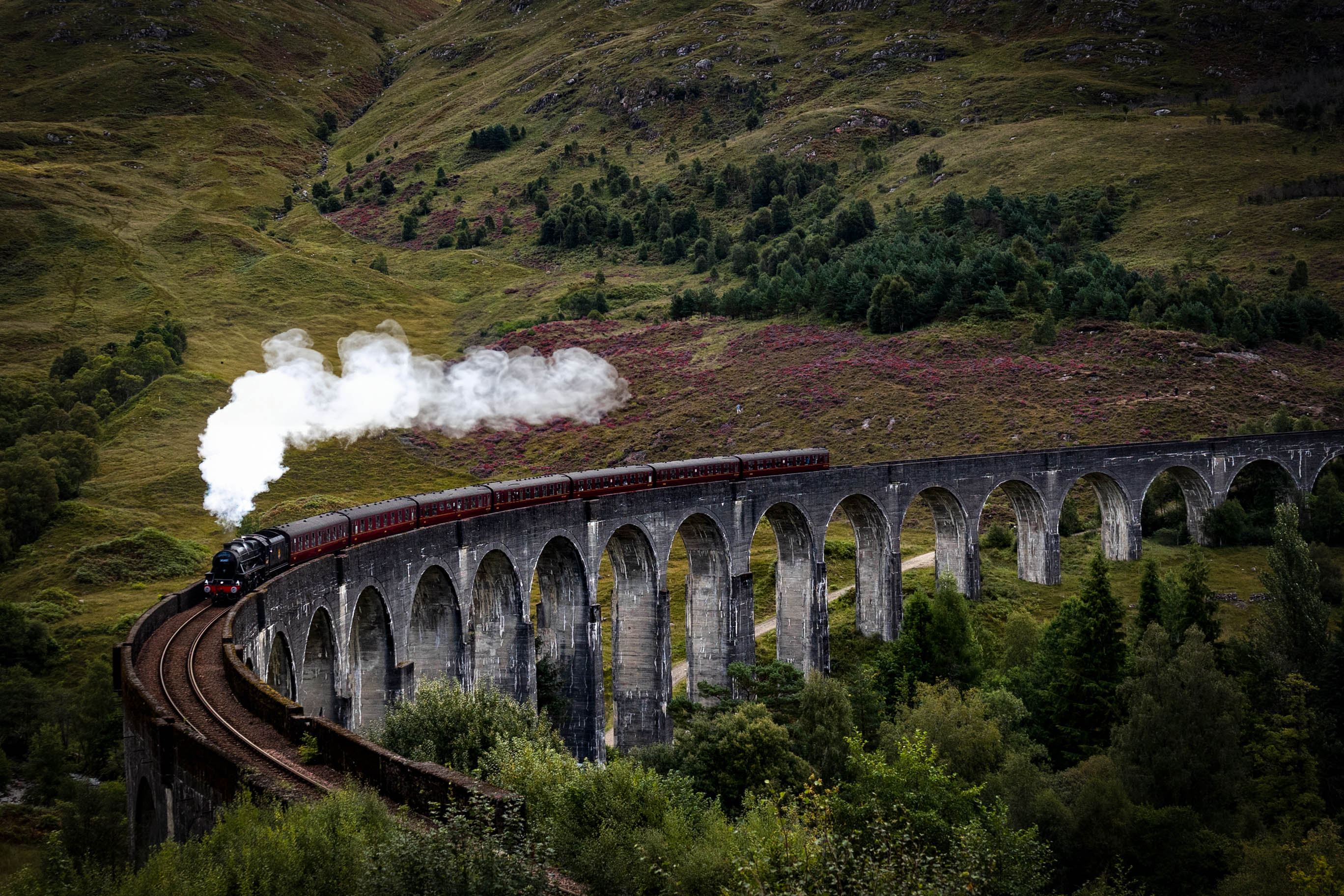Blick auf das Glenfinnan Viaduct (Harry Potter Zug) in Schottland