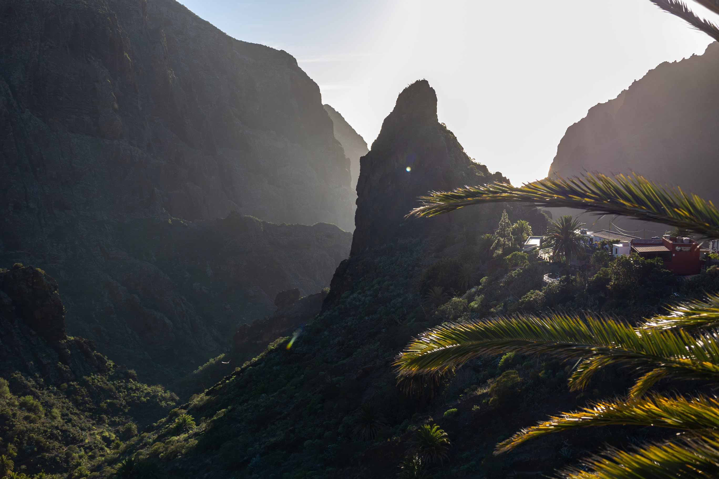 Blick in die Masca Schlucht auf Teneriffa