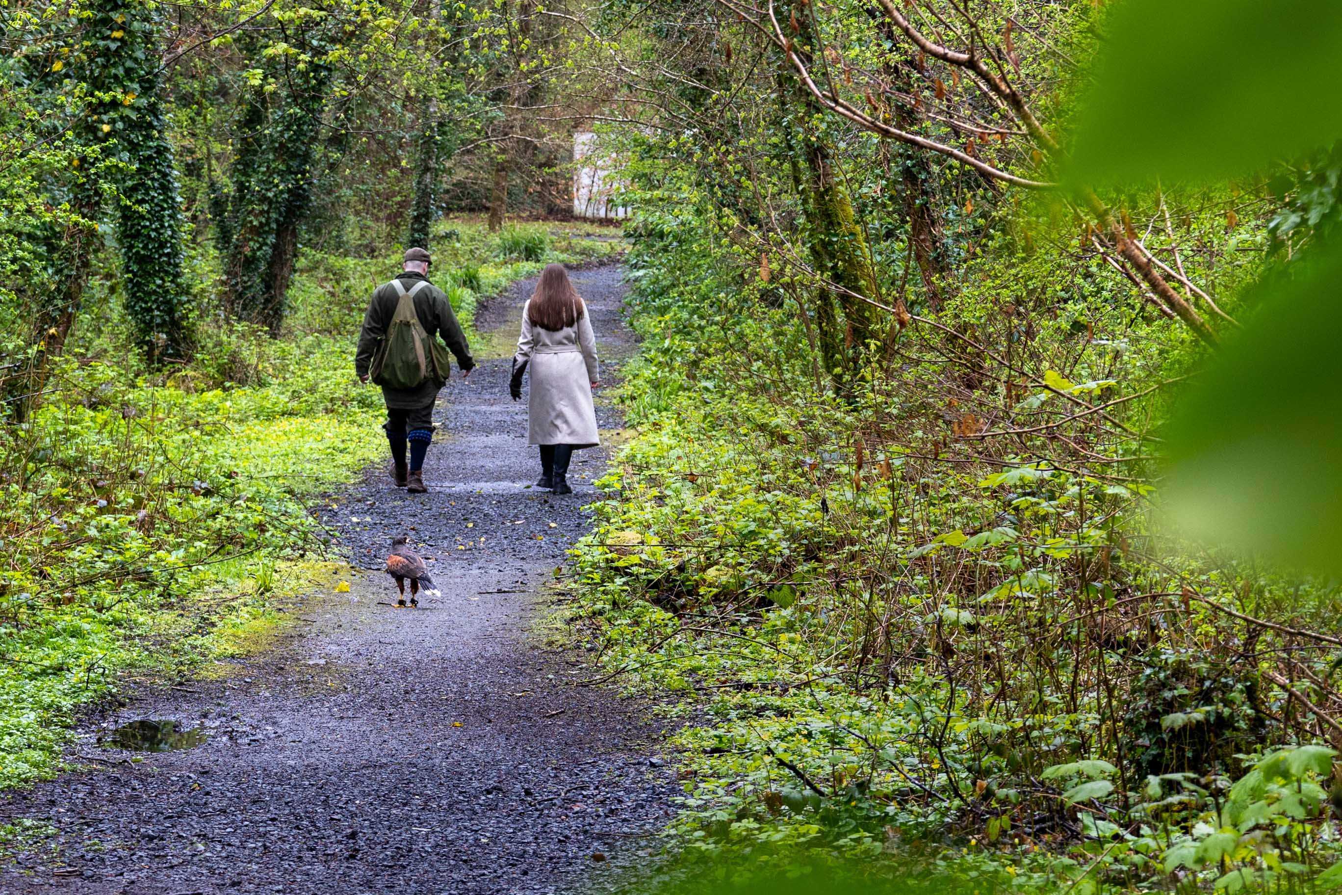 Hawk Walk vor dem Mount Falcon Estate in Irland