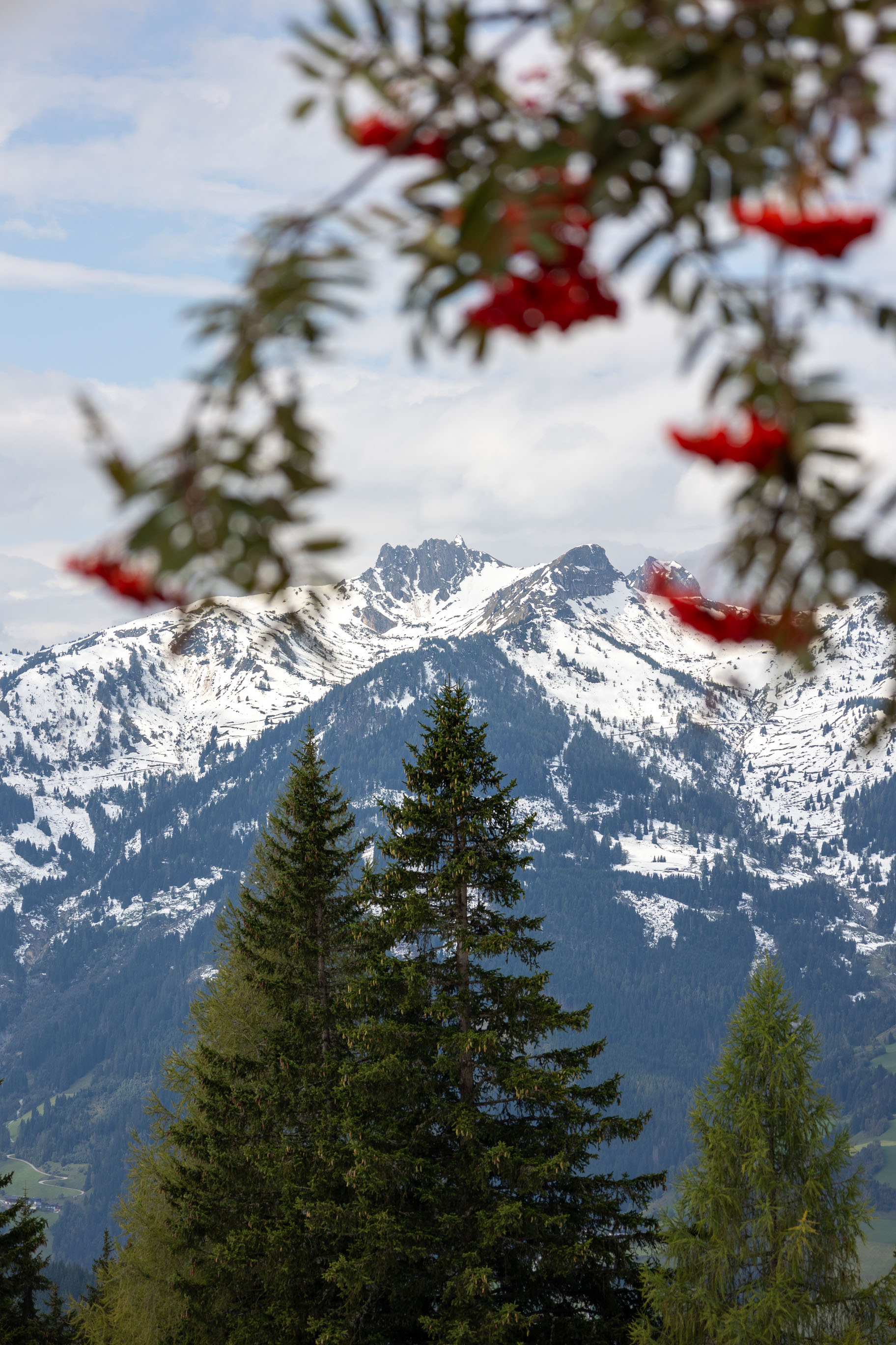 Ausblick auf die Berge von der Terrasse einer Almhütte an einem Wanderweg in den Bergen im Salzburger Land in Österreich