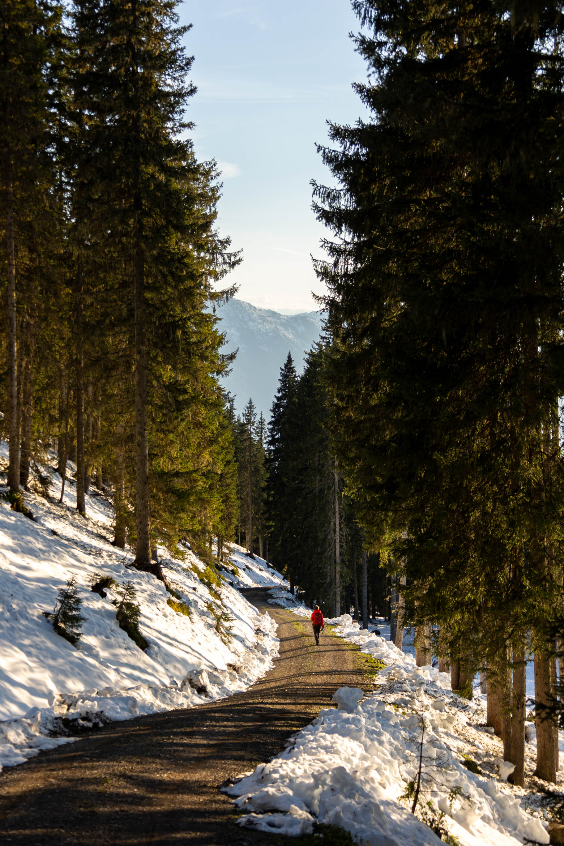junge Frau auf Wanderweg in den Bergen im Salzburger Land in Österreich