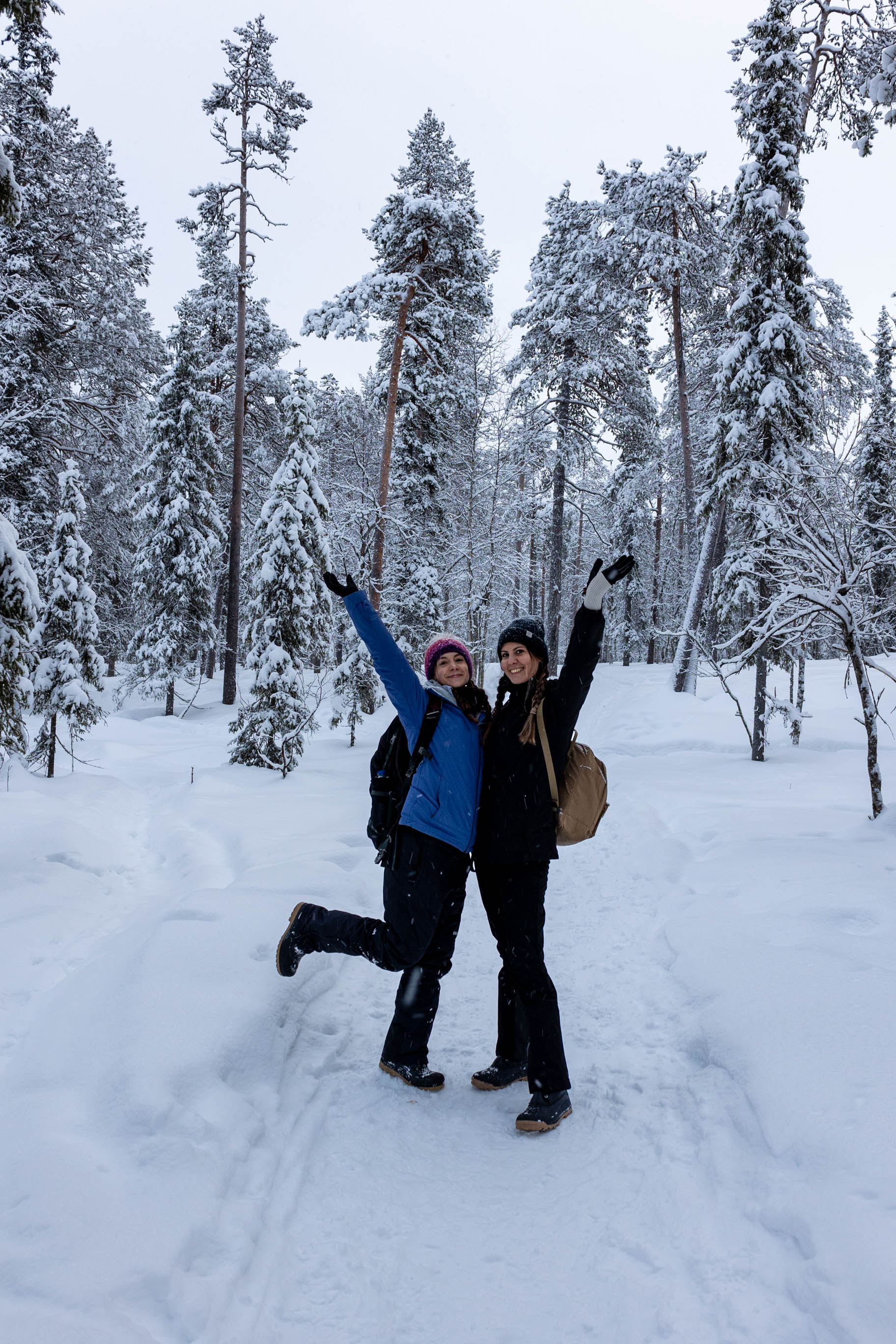 Lappland im Winter