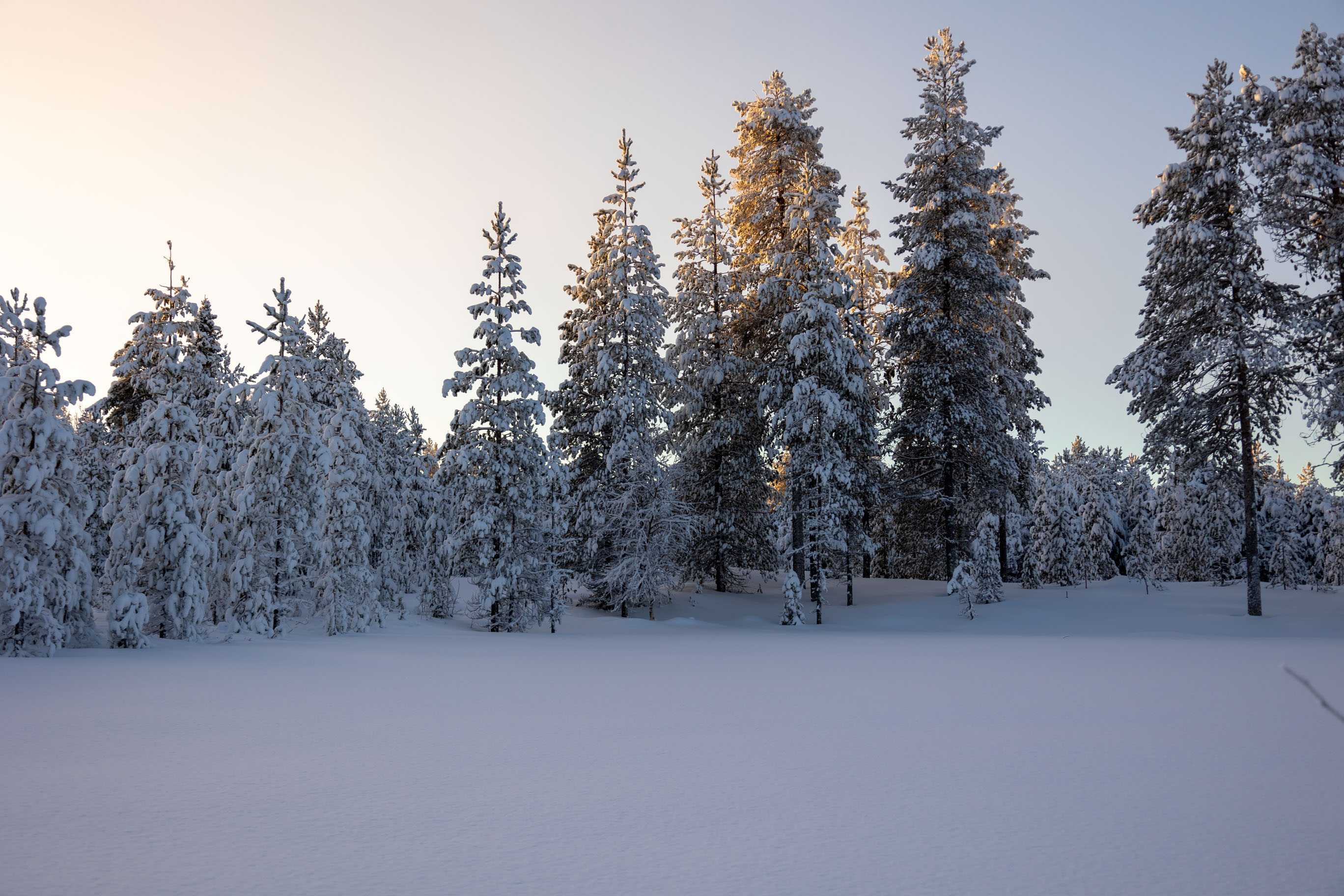 Lappland im Winter