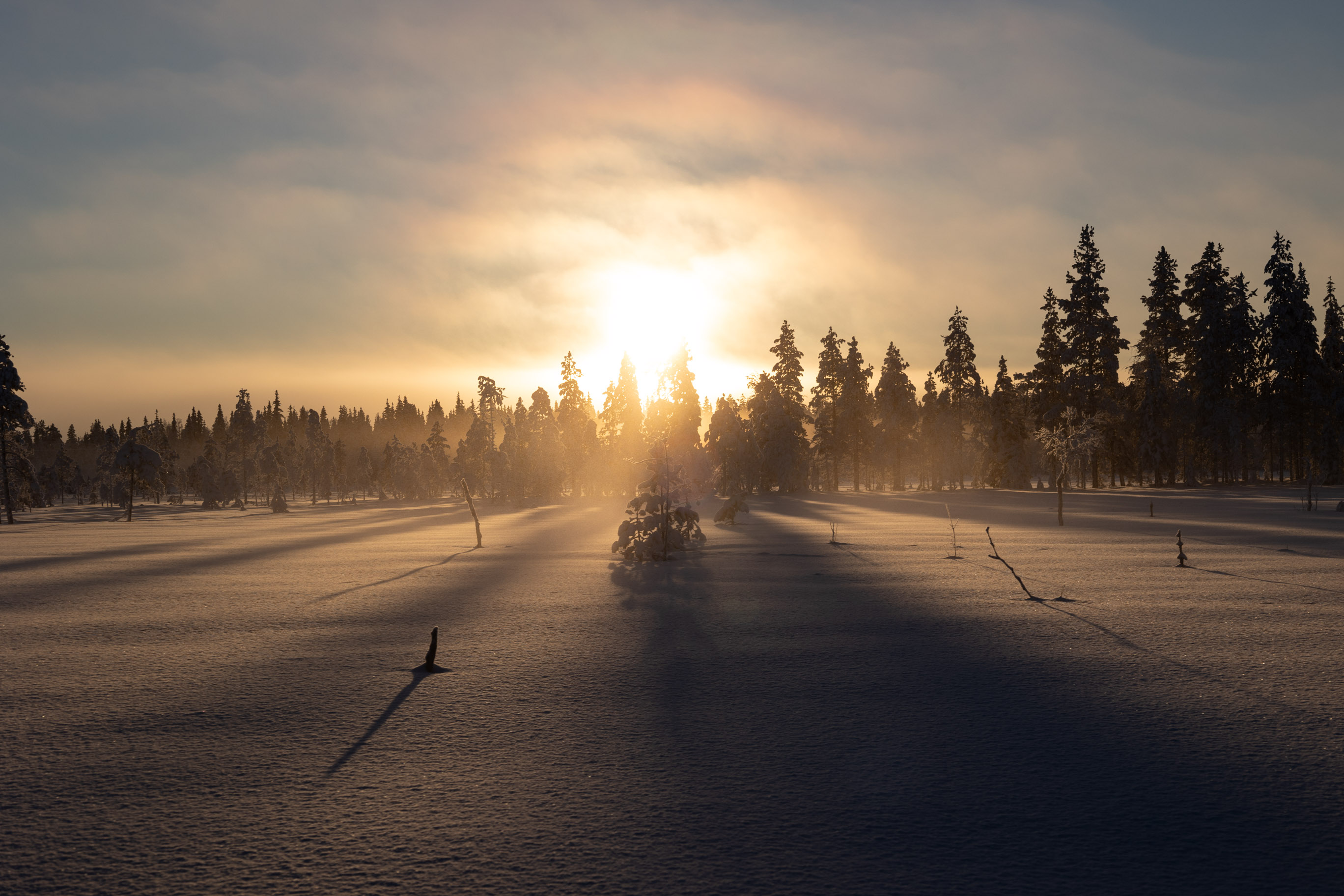 Lappland im Winter