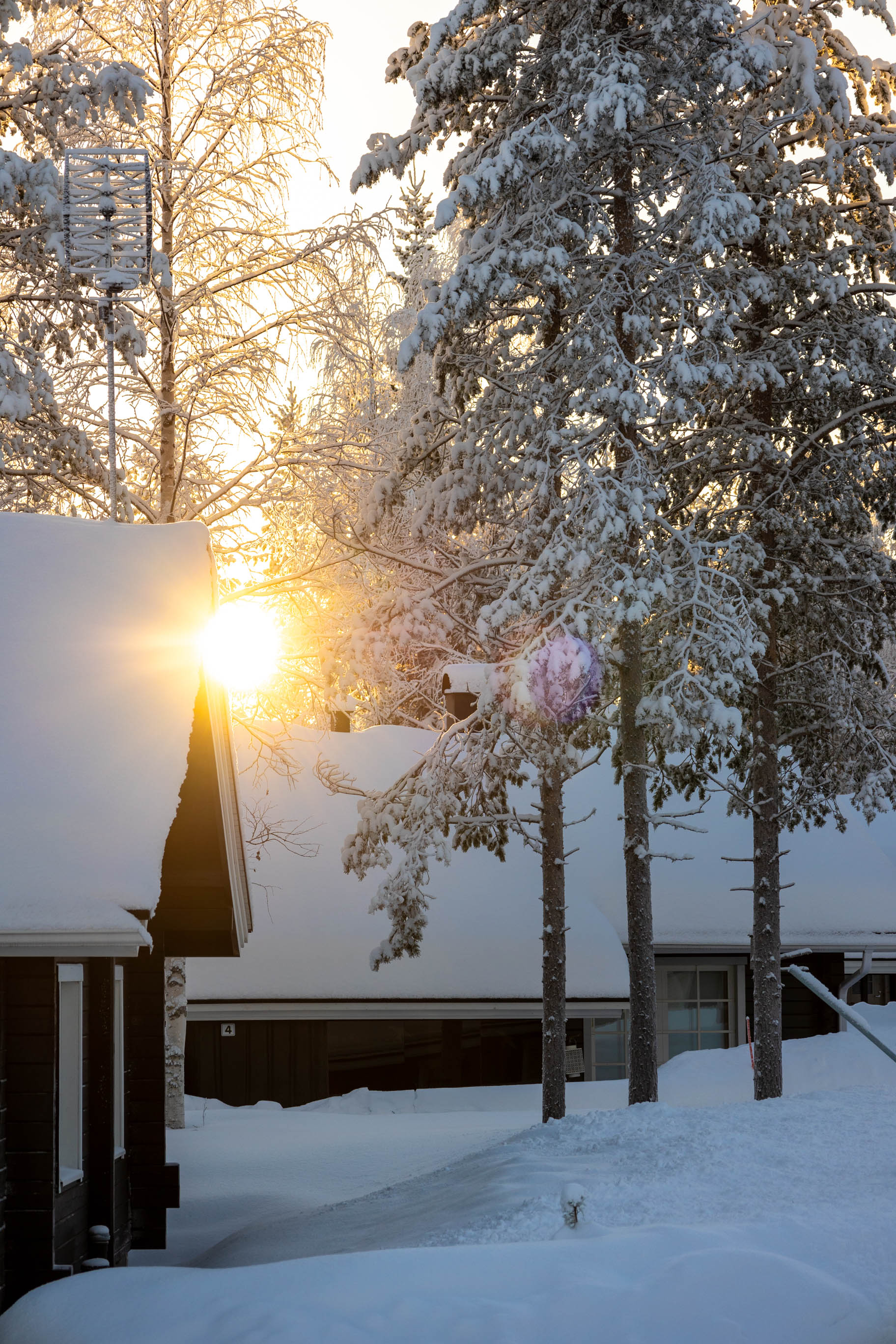 Lappland im Winter