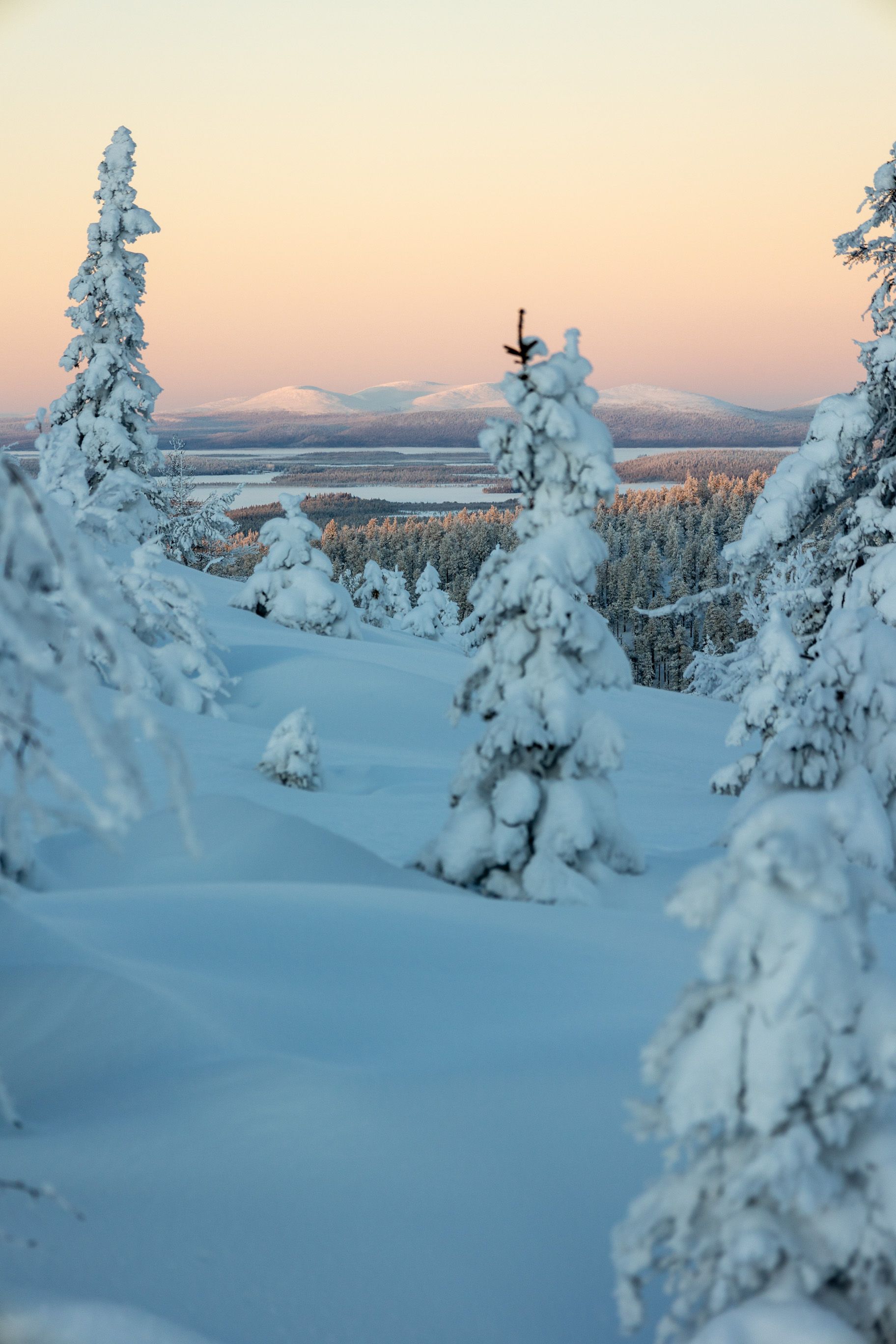 Lappland im Winter