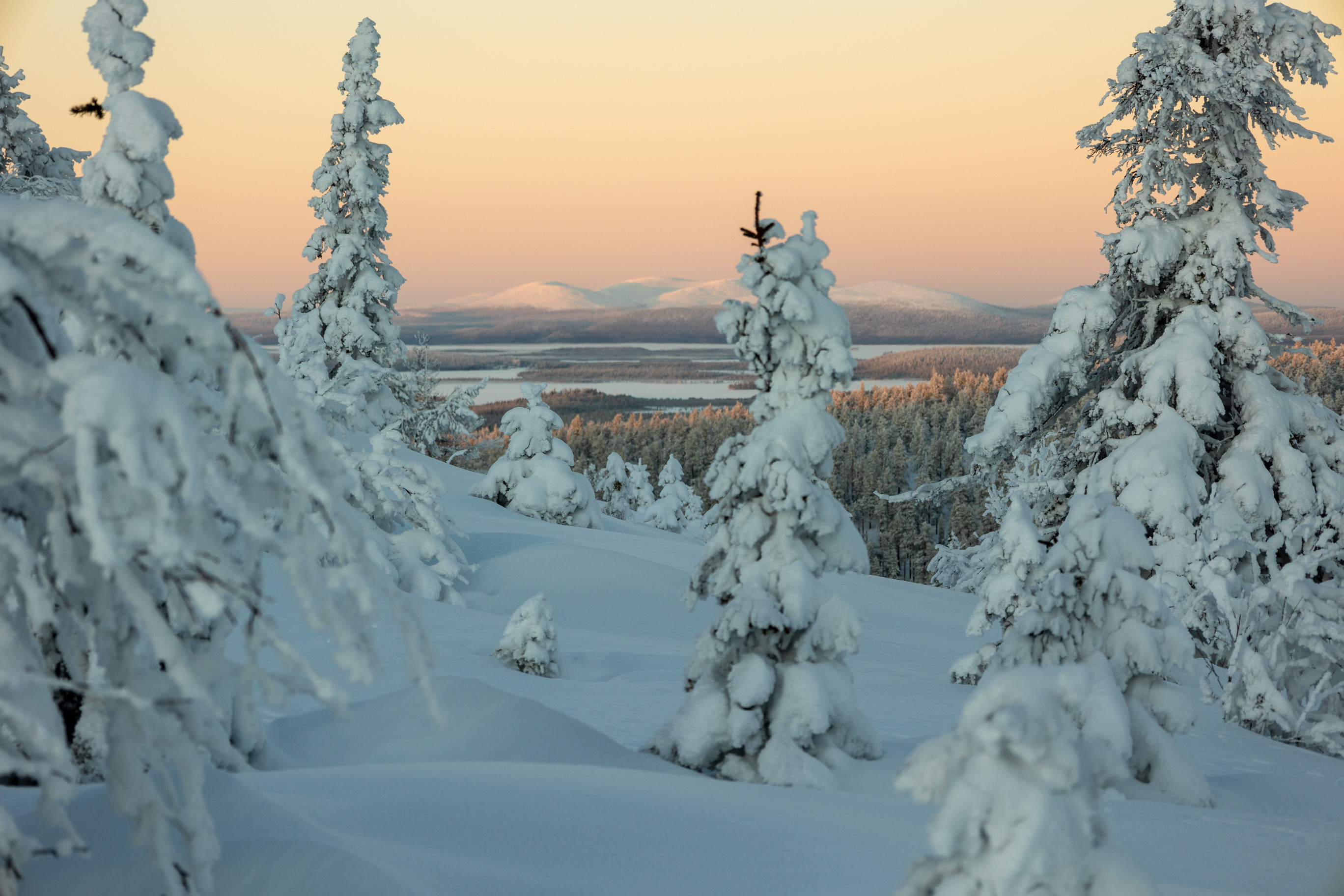 Lappland im Winter