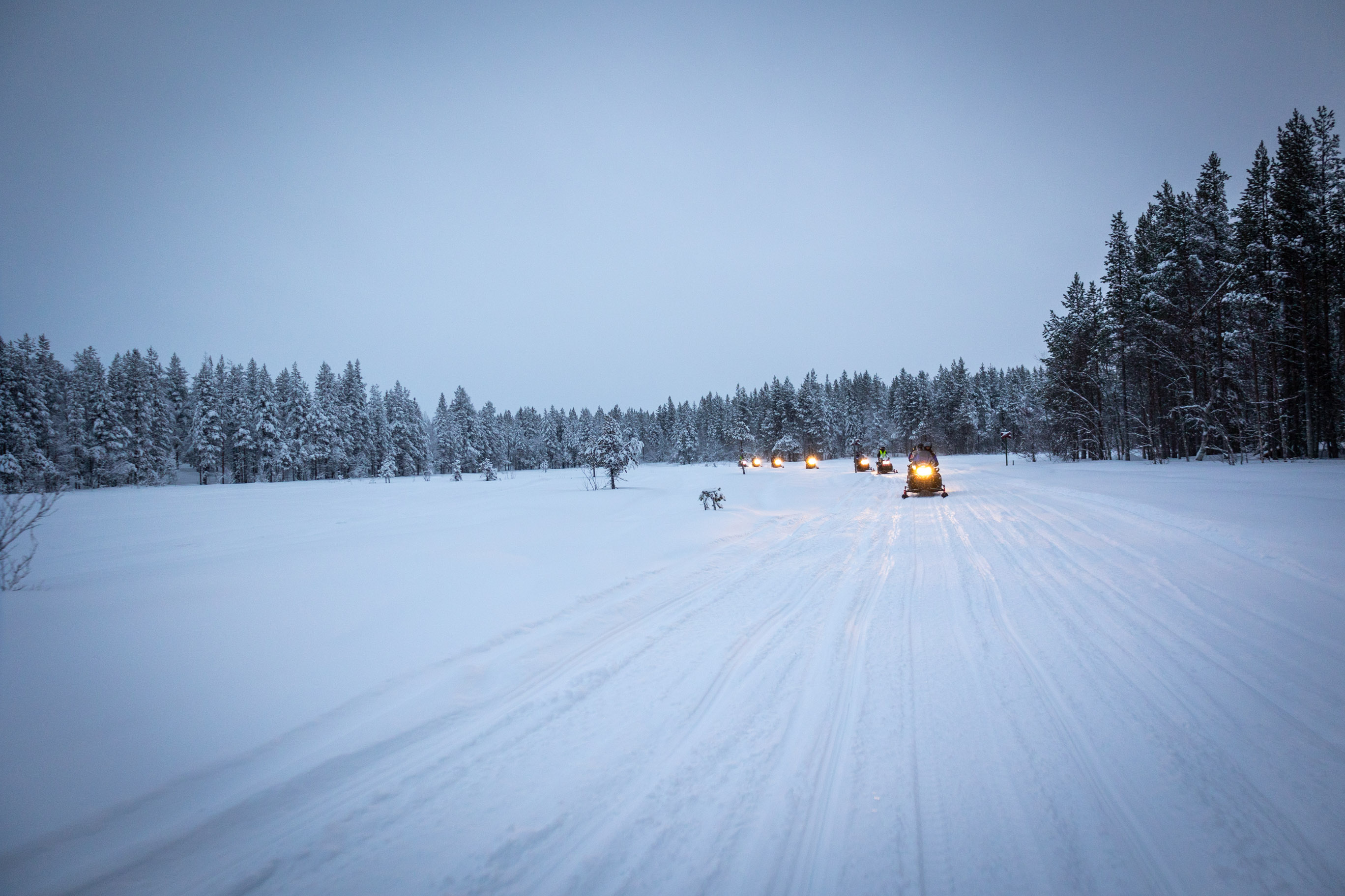 Lappland im Winter
