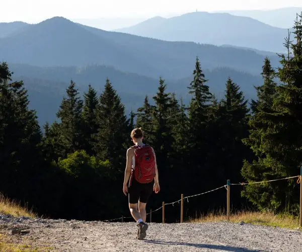 sonnenhotel-bayerischer-hof-wanderung-grosser-arber